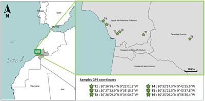 Contribution to the characterization of the seed endophyte microbiome of Argania spinosa across geographical locations in Central Morocco using metagenomic approaches